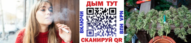 Канабис семена  Черепаново 
